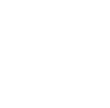 logo v2.png